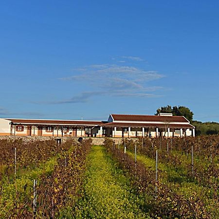 Pensjonat Turismo Rural Pedremoura Vila Ruiva  Zewnętrze zdjęcie