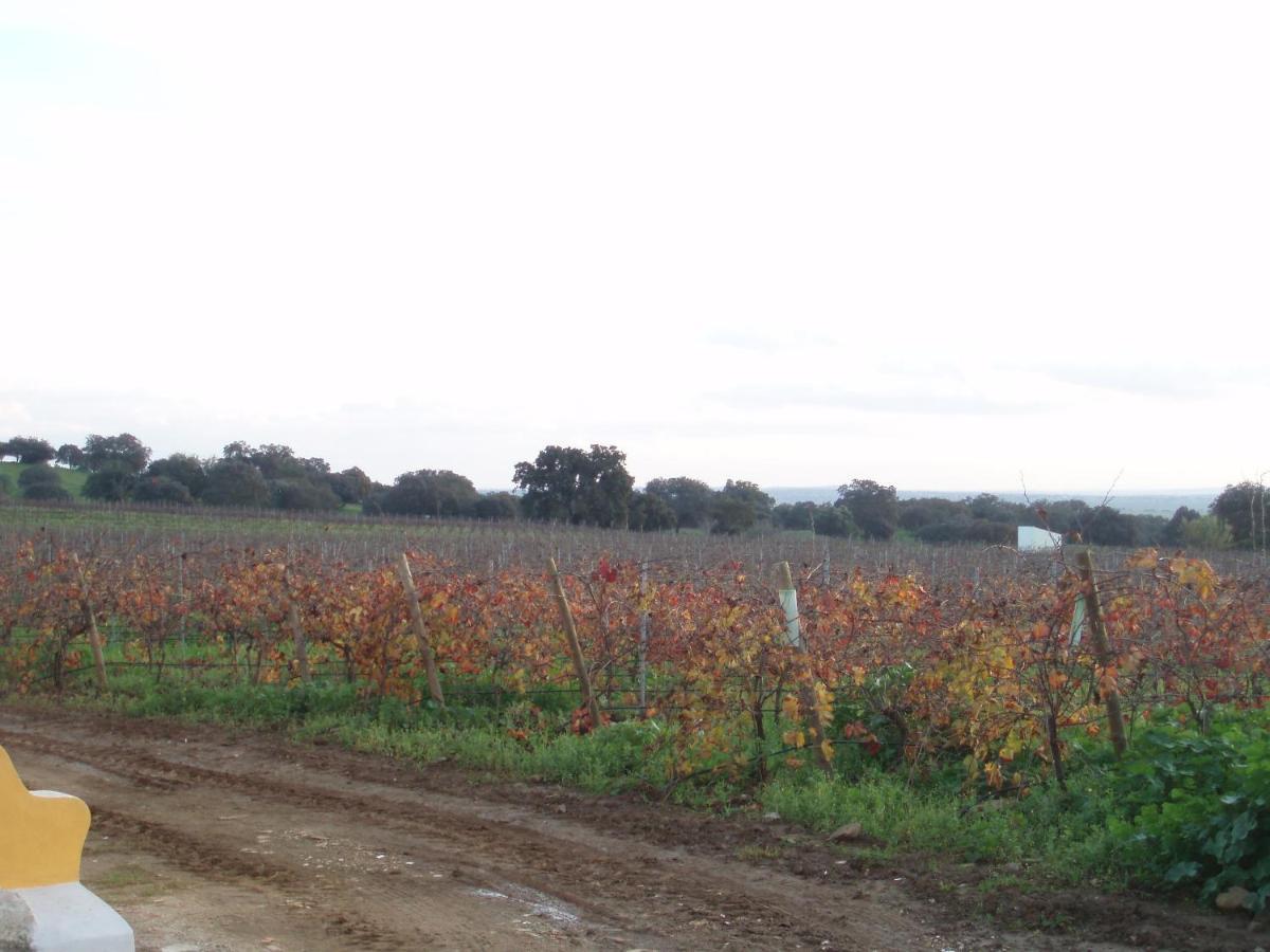 Pensjonat Turismo Rural Pedremoura Vila Ruiva  Zewnętrze zdjęcie